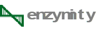 enzymity